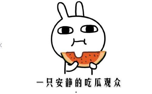 吃瓜大战什么意思,揭秘网络舆论场的狂欢与争议